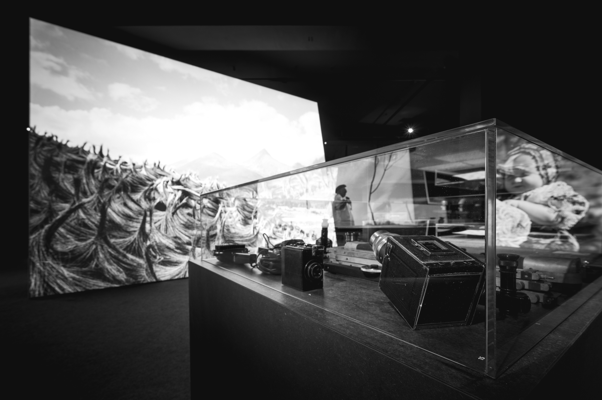 NZ6 2310 DxO DeepPRIME XD2s